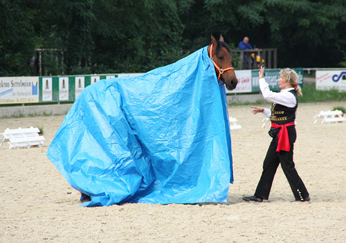 Maskerade, Reitverein Zeiskam
